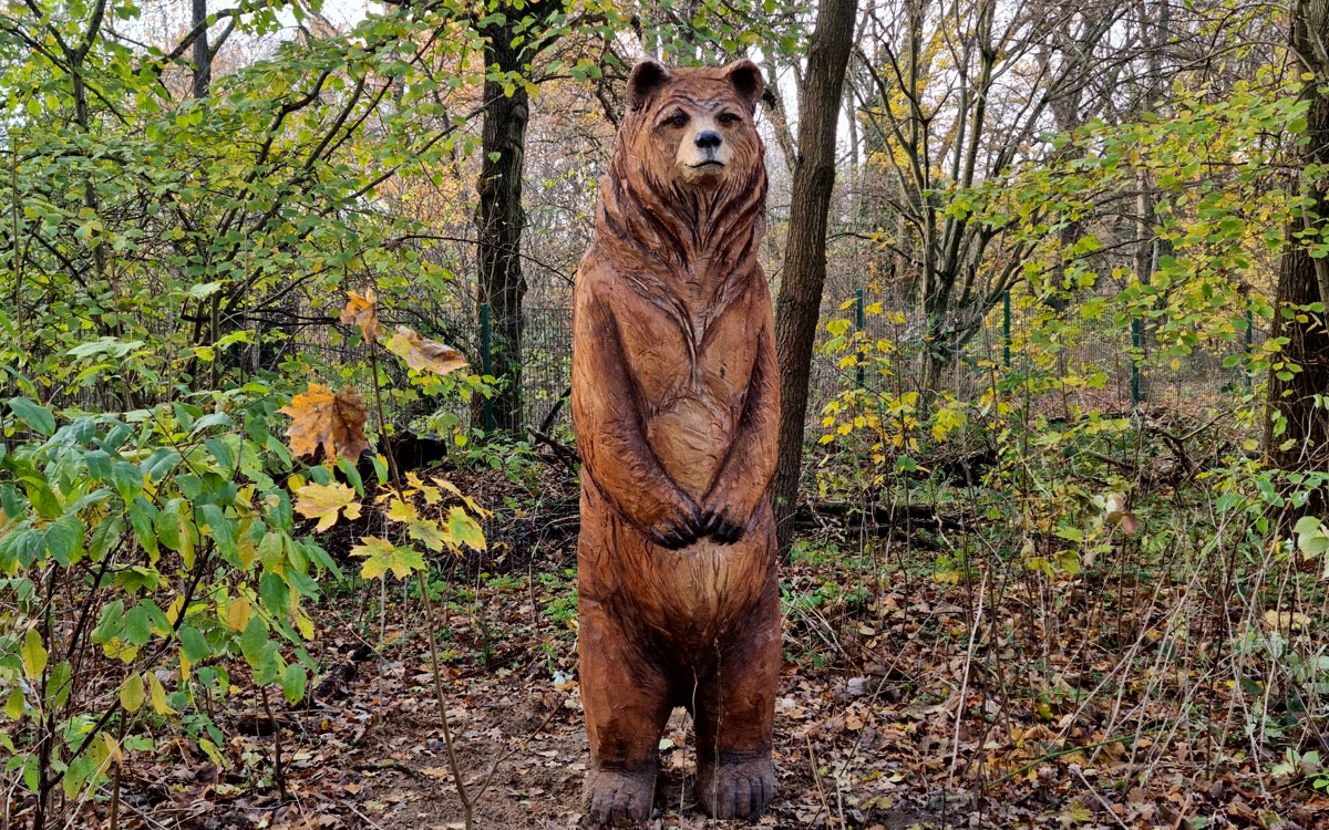 Entwicklung eines Naturlehrpfades Entwicklung eines Naturlehrpfades